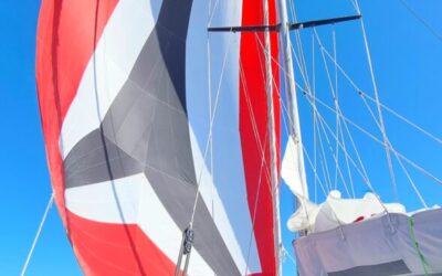 VÄLKOMNA PÅ ÅRSMÖTE LÖRDAGEN DEN 15/11